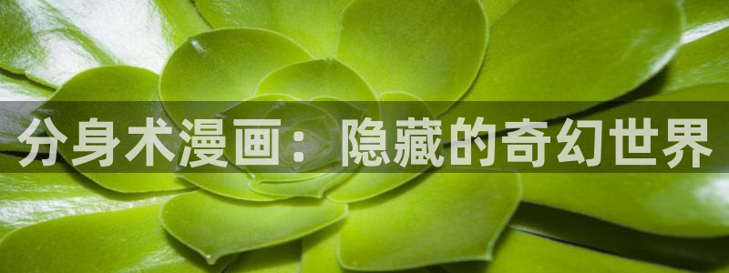 秘密教学香蕉漫画