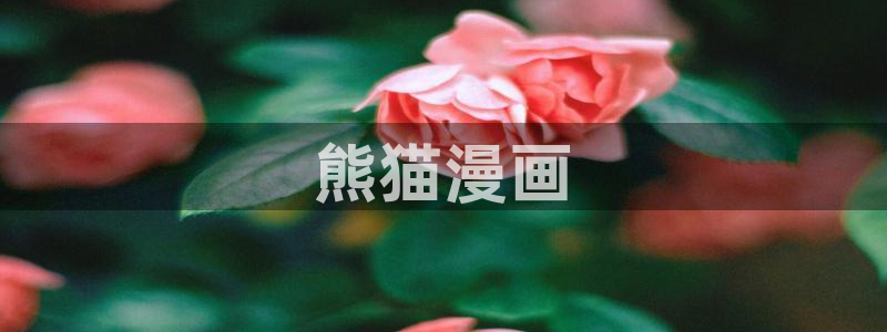 香蕉漫画观看：熊猫漫画