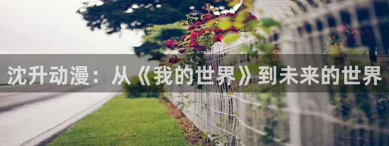 香蕉文化小说漫画
