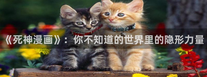 香蕉文化漫画书免费观看