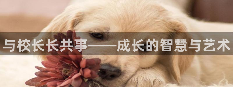 香蕉漫画h：与校长长共事——成长的智慧与艺术